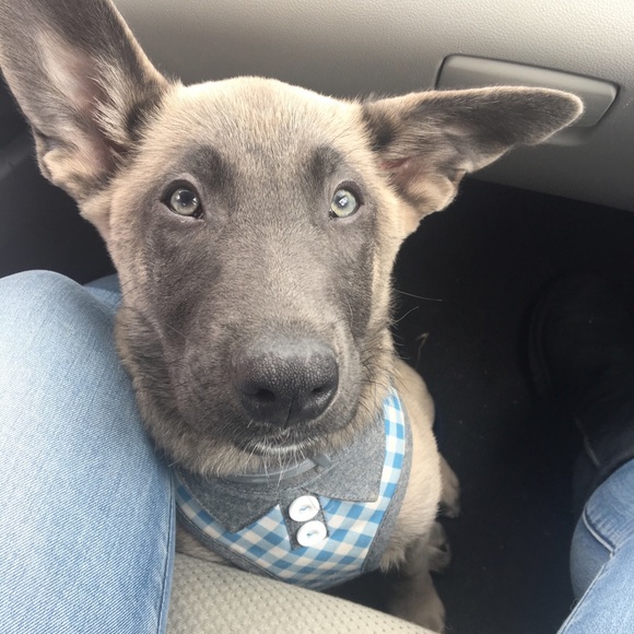 Meet your Posher, J - Picture 2 of 5